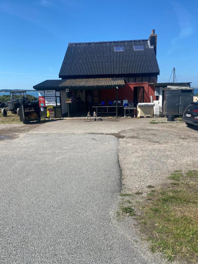 Nyhus, Dragsmur, Mols Knebel Exteriör bild