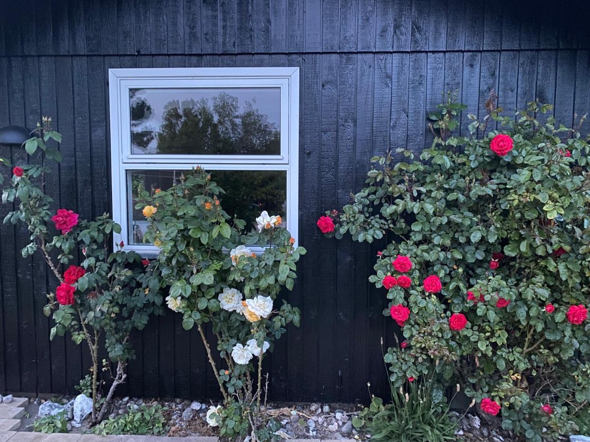 Nyhus, Dragsmur, Mols Knebel Exteriör bild